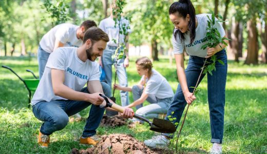 young new capital link volunteers planting trees