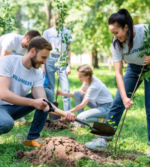 young new capital link volunteers planting trees